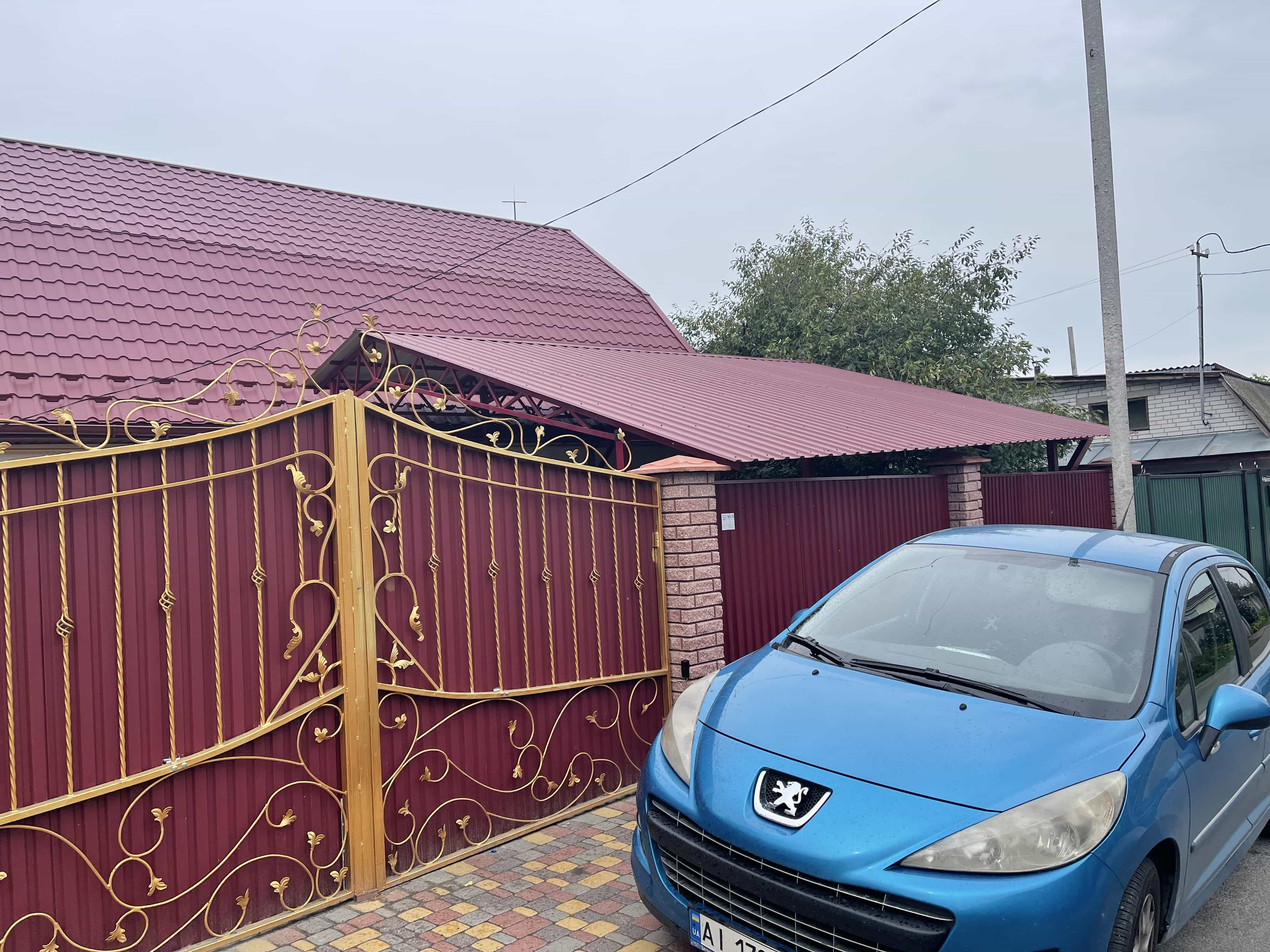 Княжичі